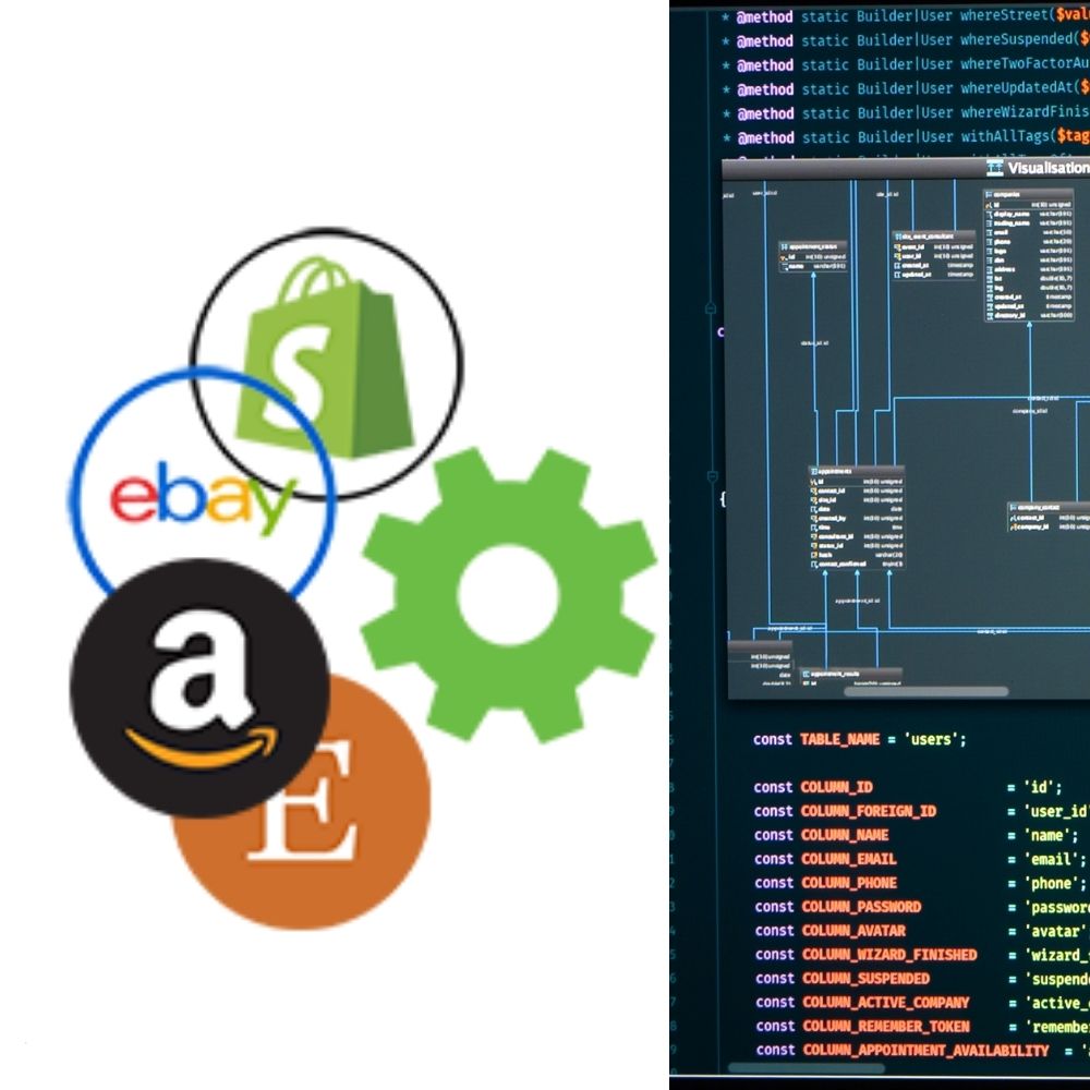 Software Integration